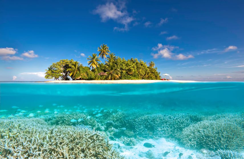 064 - W Maldives Resort - Fesdu Island, Maldives - Gaathafushi Private Island Underwater View