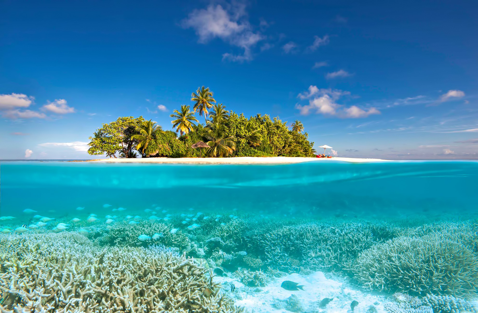 064 – W Maldives Resort – Fesdu Island, Maldives – Gaathafushi Private Island Underwater View