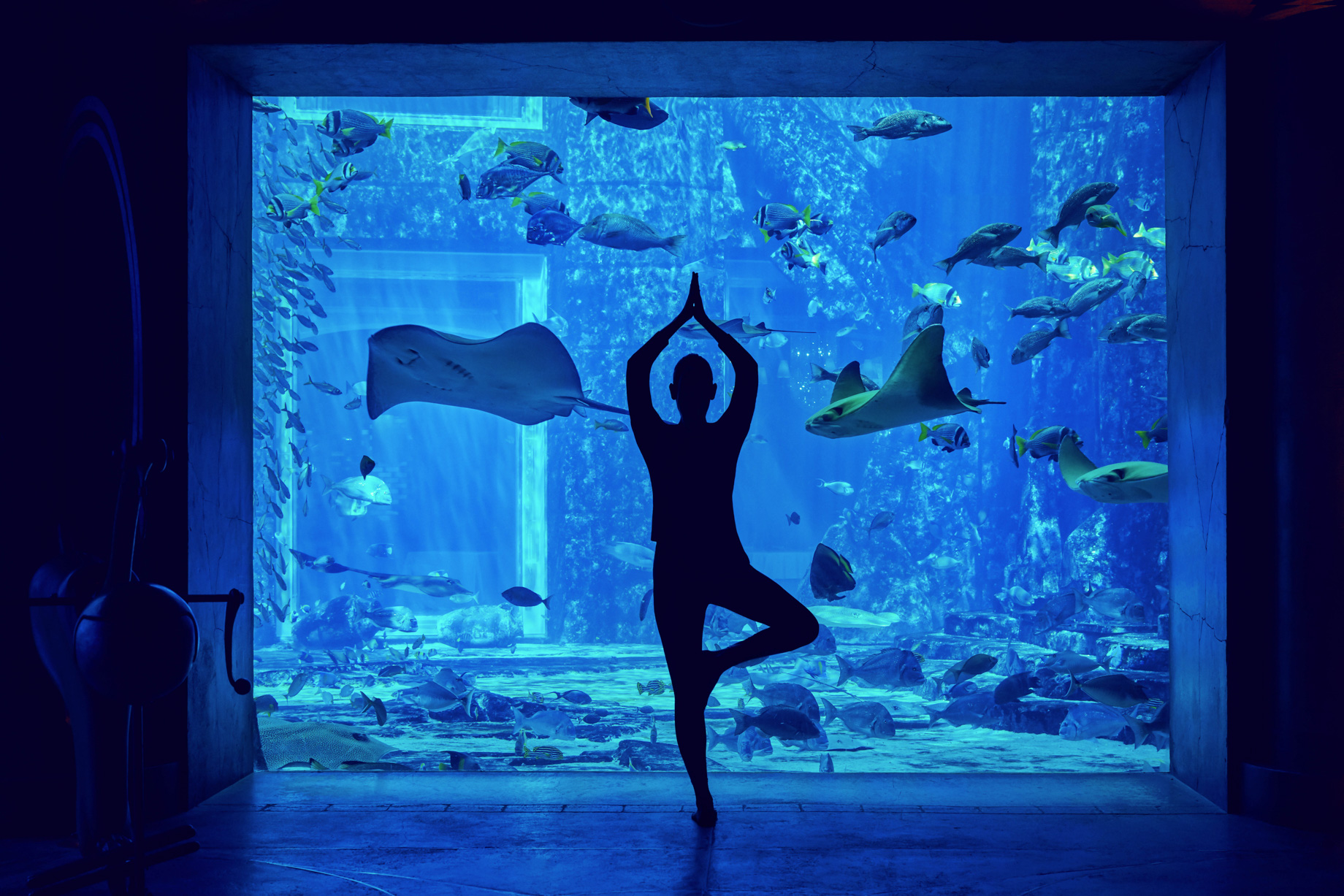 Atlantis The Palm Resort – Crescent Rd, Dubai, UAE – Yoga at the Lost Chamber Aquarium