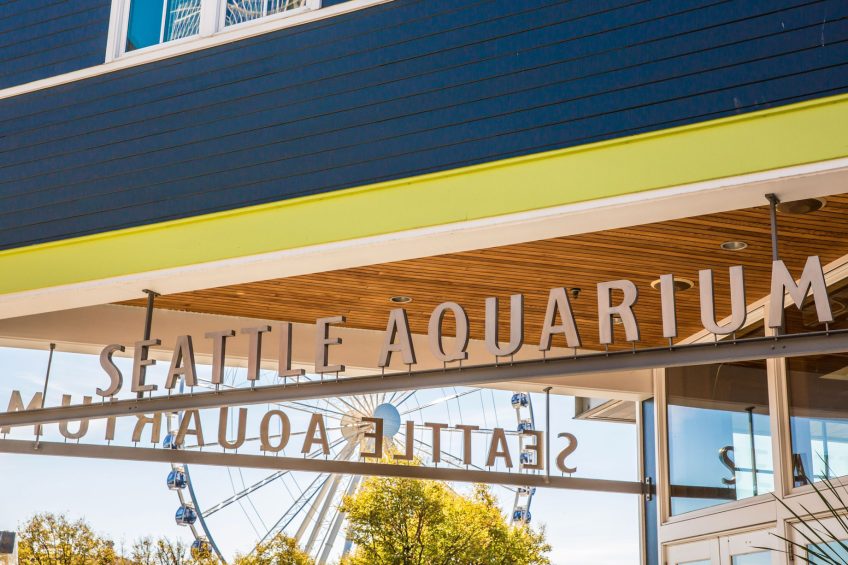 W Seattle Hotel - Seattle, WA, USA - Seattle Aquarium