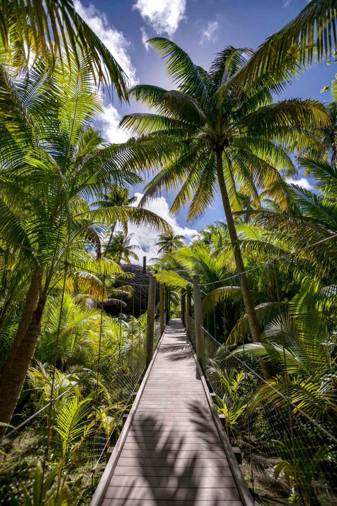 The Brando Resort - Tetiaroa Private Island, French Polynesia - Birdsnest Spa Pathway