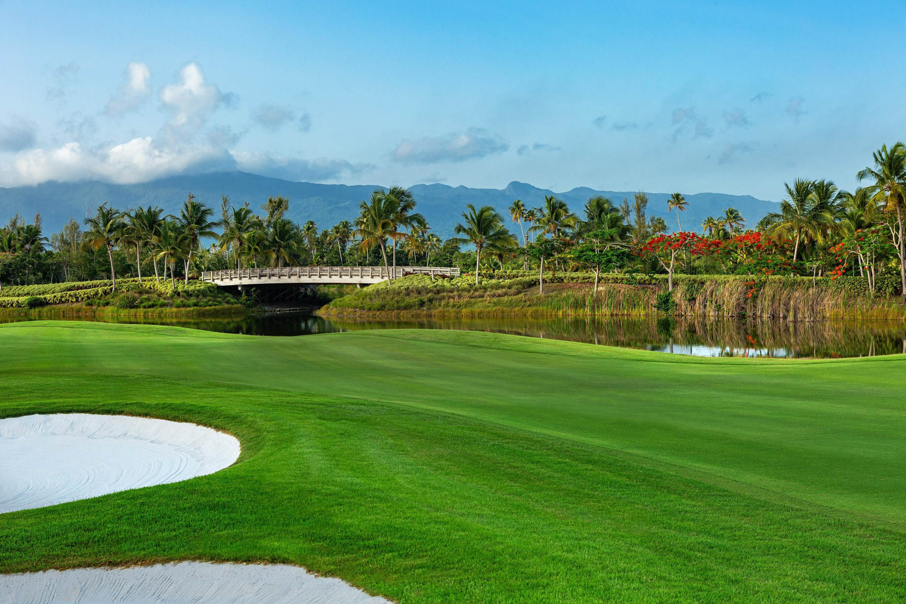 The St. Regis Bahia Beach Resort - Rio Grande, Puerto Rico - Golf Course