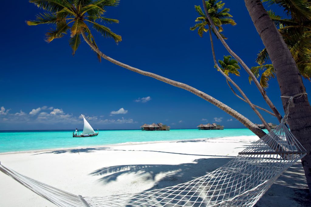 Gili Lankanfushi Resort - North Male Atoll, Maldives - Palm Tree Beach Hammock