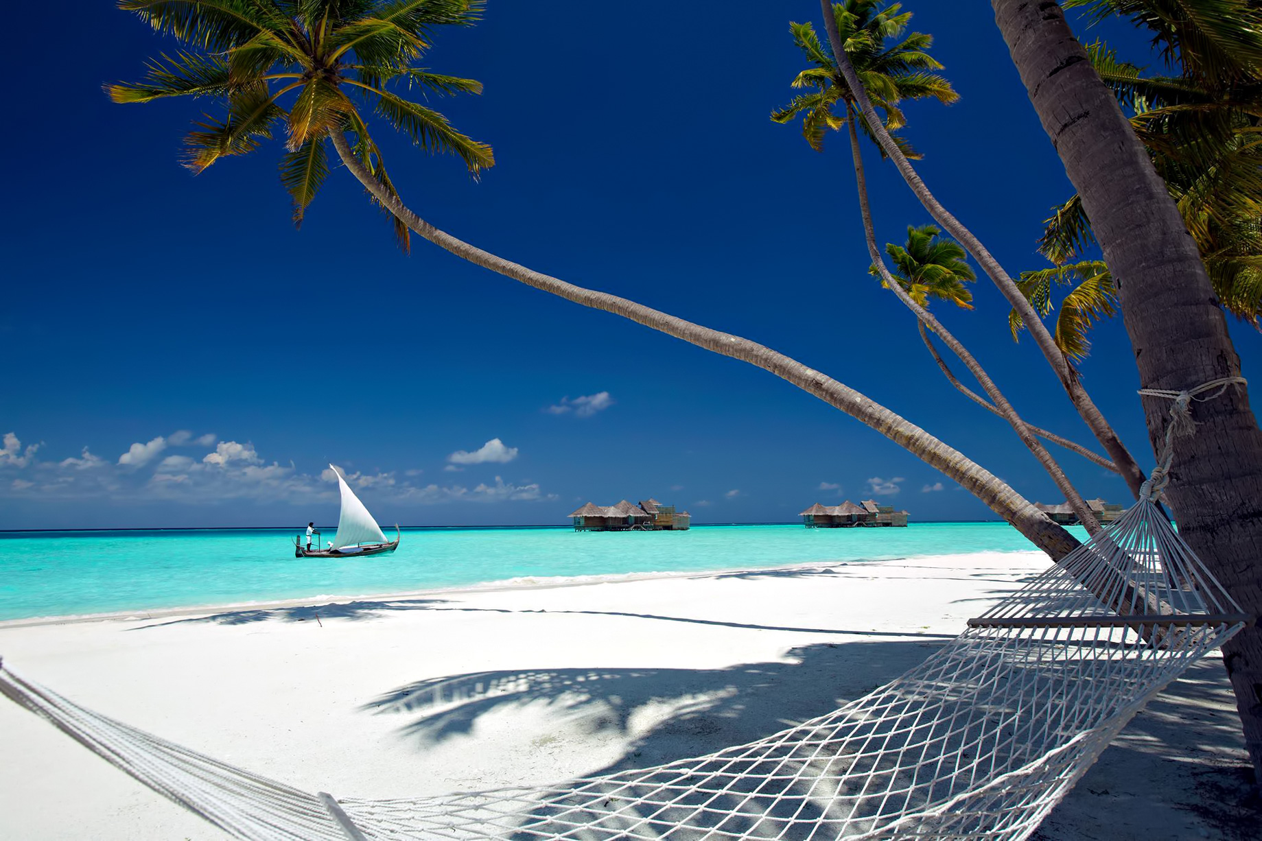 Gili Lankanfushi Resort – North Male Atoll, Maldives – Palm Tree Beach Hammock