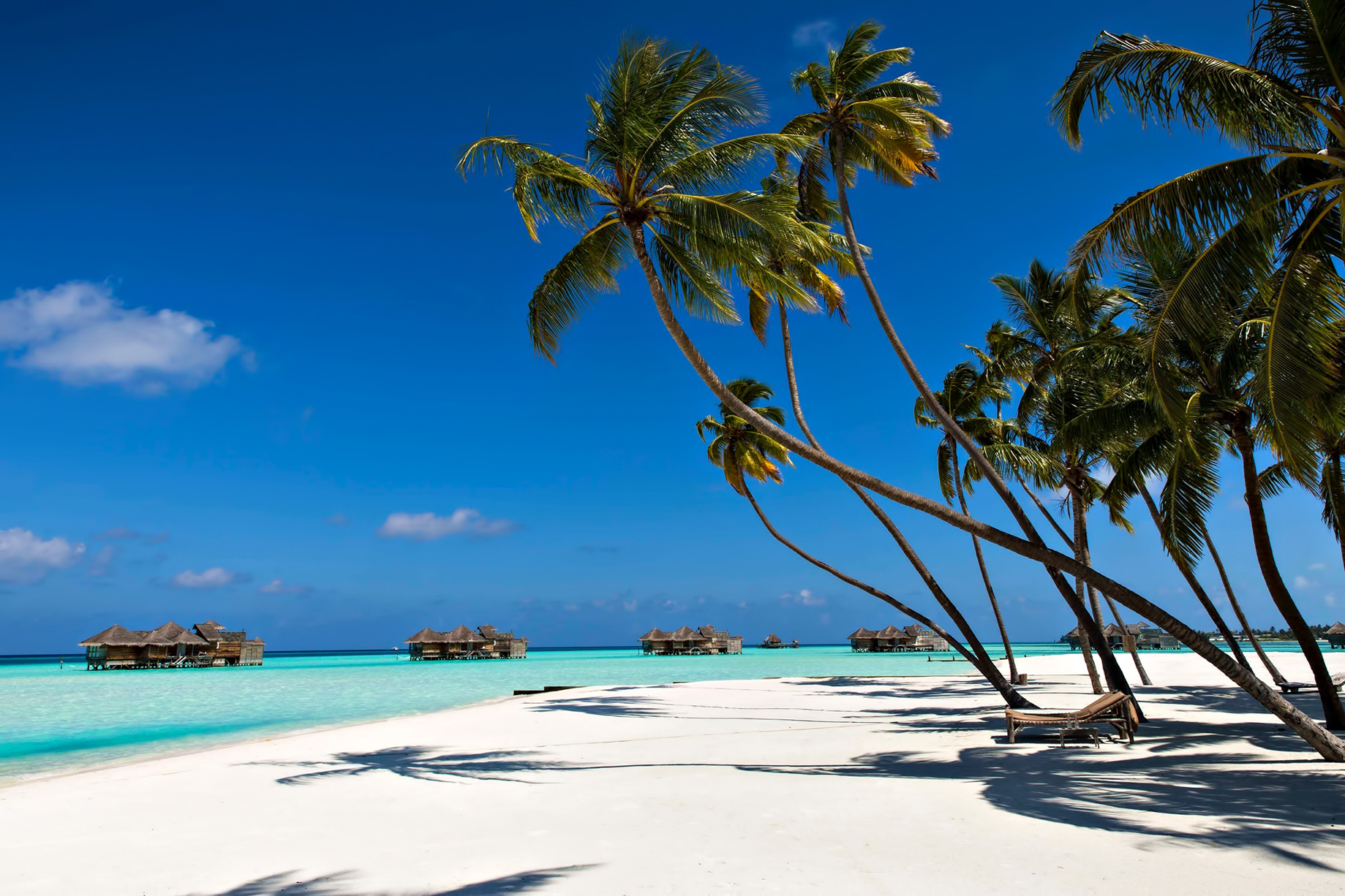 Gili Lankanfushi Resort – North Male Atoll, Maldives – White Sand Beach Palm Trees