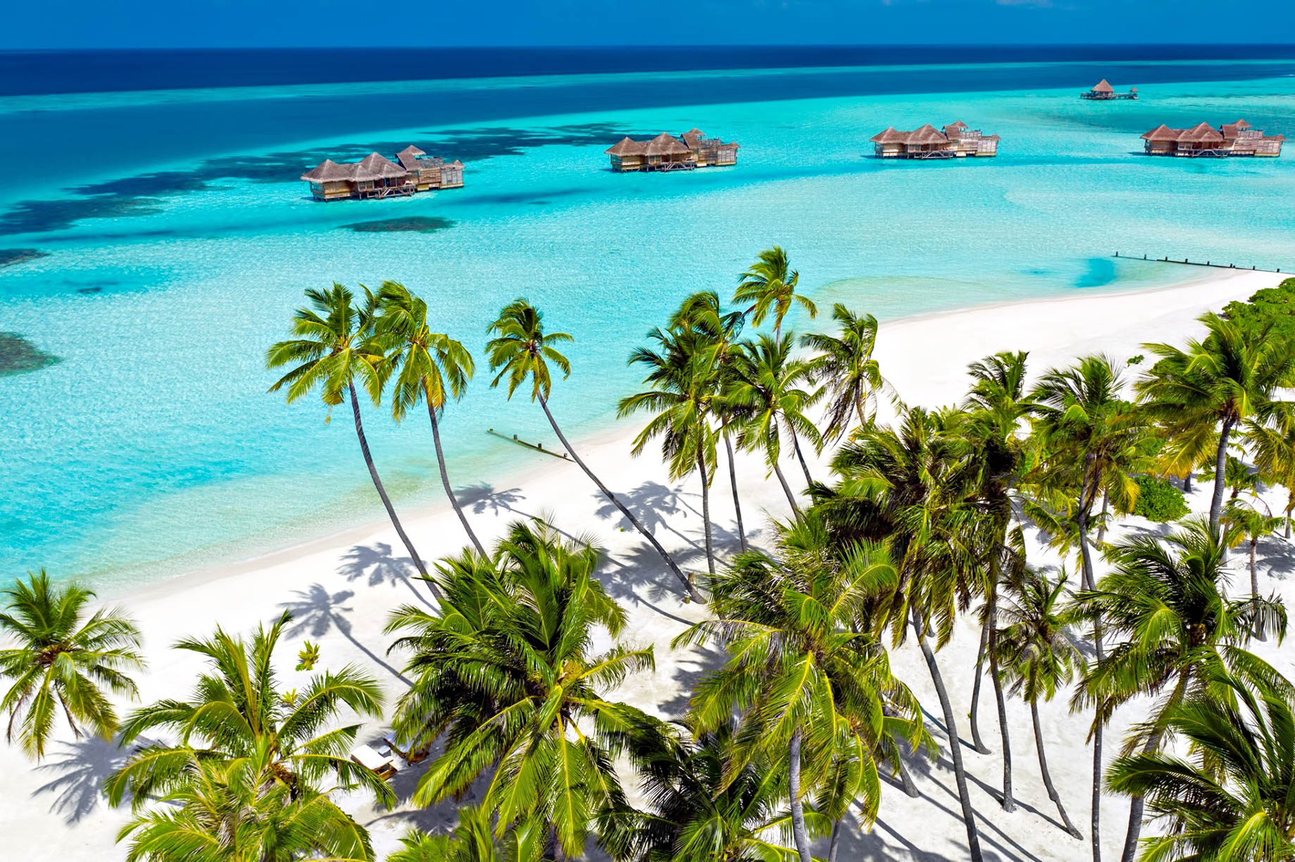 Gili Lankanfushi Resort – North Male Atoll, Maldives – White Sand Beach Palm Trees Overlooking Villas