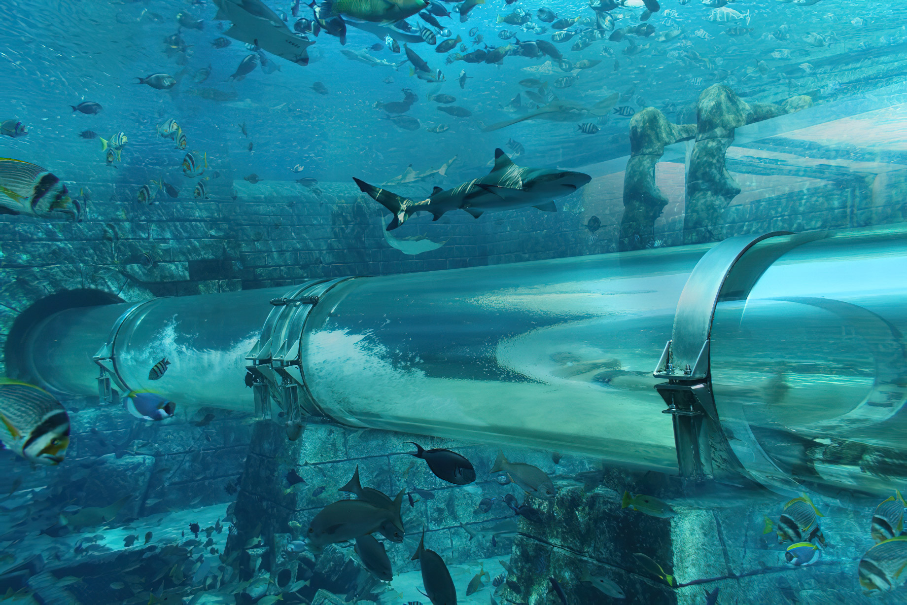 Atlantis The Palm Resort - Crescent Rd, Dubai, UAE - Tower of Neptune Water Slide Underwater