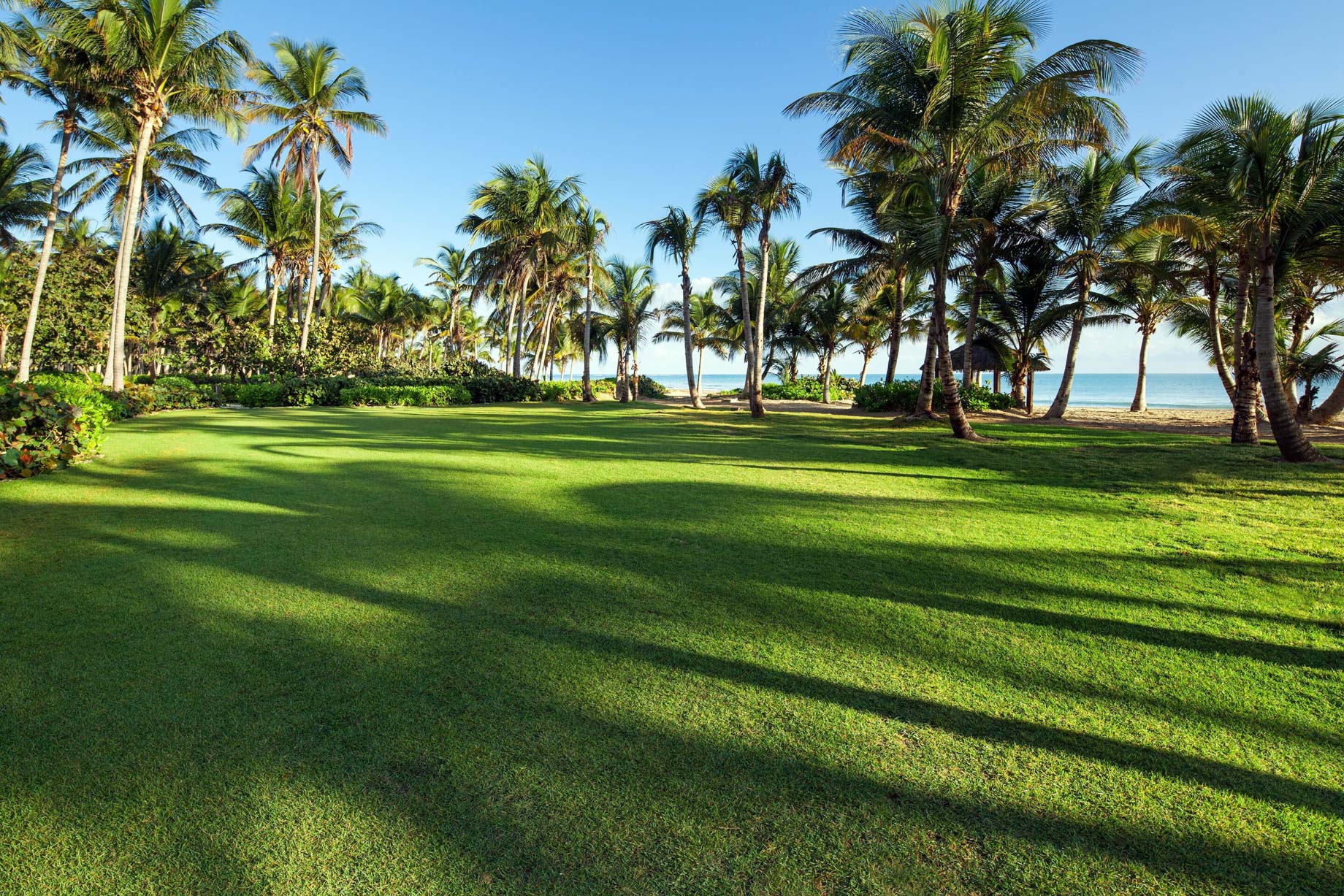 The St. Regis Bahia Beach Resort – Rio Grande, Puerto Rico – Resort Seabreeze Lawn