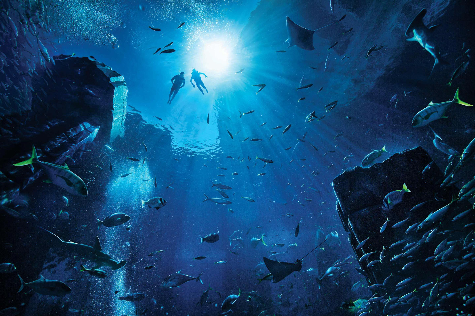 Atlantis The Palm Resort – Crescent Rd, Dubai, UAE – Ambassador Lagoon Underwater