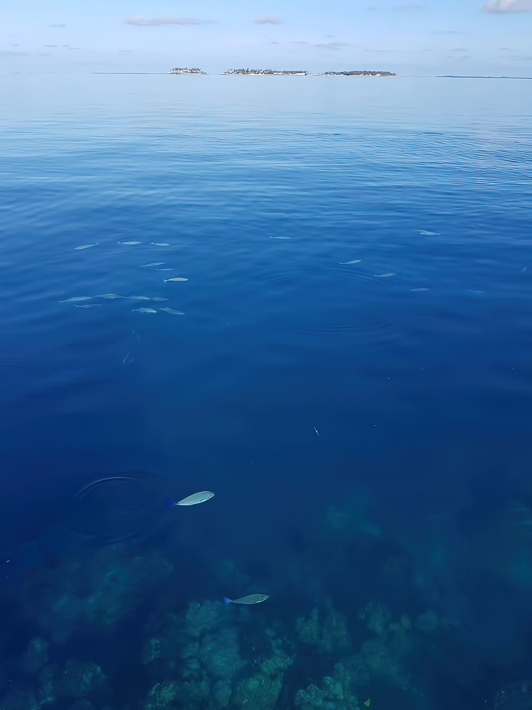 Cheval Blanc Randheli Resort – Noonu Atoll, Maldives – Resort Ocean View Fish in Water