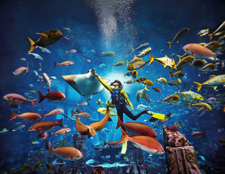 Atlantis The Palm Resort - Crescent Rd, Dubai, UAE - Predator Dive Adventure