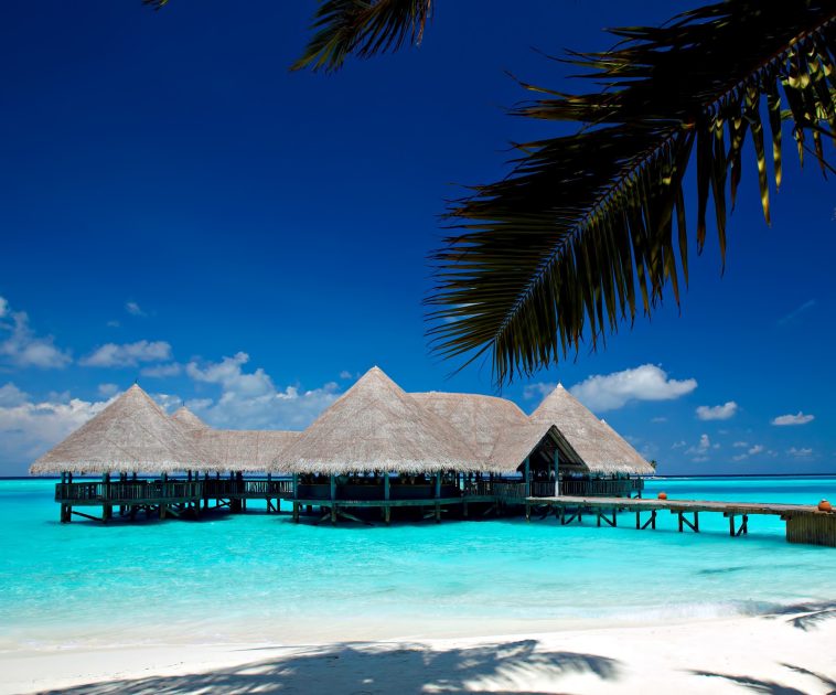 Gili Lankanfushi Resort - North Male Atoll, Maldives - Overwater Bar