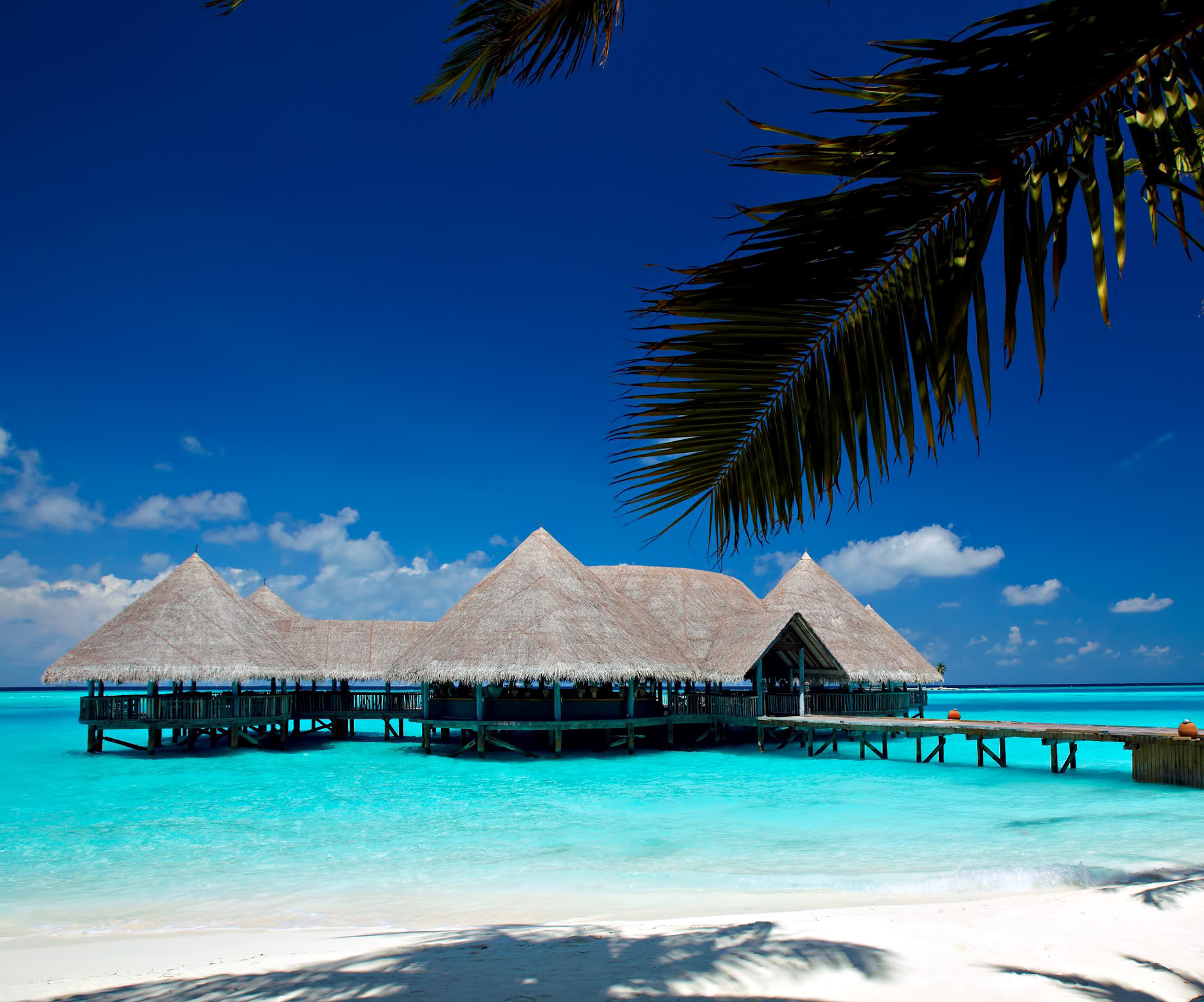 Gili Lankanfushi Resort – North Male Atoll, Maldives – Overwater Bar