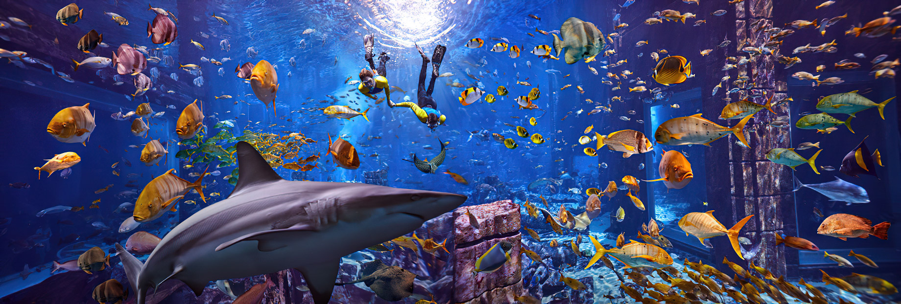Atlantis The Palm Resort – Crescent Rd, Dubai, UAE – Underwater Snorkelling Adventure