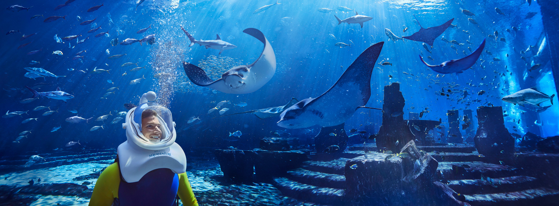 Atlantis The Palm Resort – Crescent Rd, Dubai, UAE – Underwater Aquatrek Xtreme