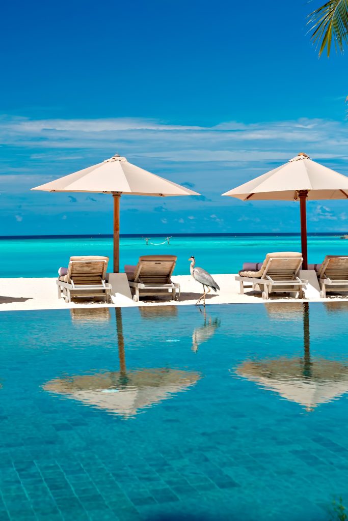 Gili Lankanfushi Resort - North Male Atoll, Maldives - Resort Beachfront Pool