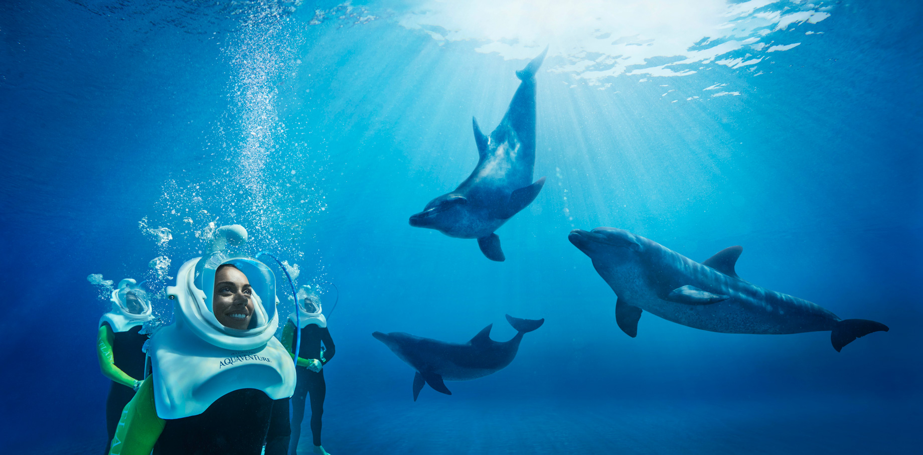 Atlantis The Palm Resort – Crescent Rd, Dubai, UAE – Underwater Dolphin Trek