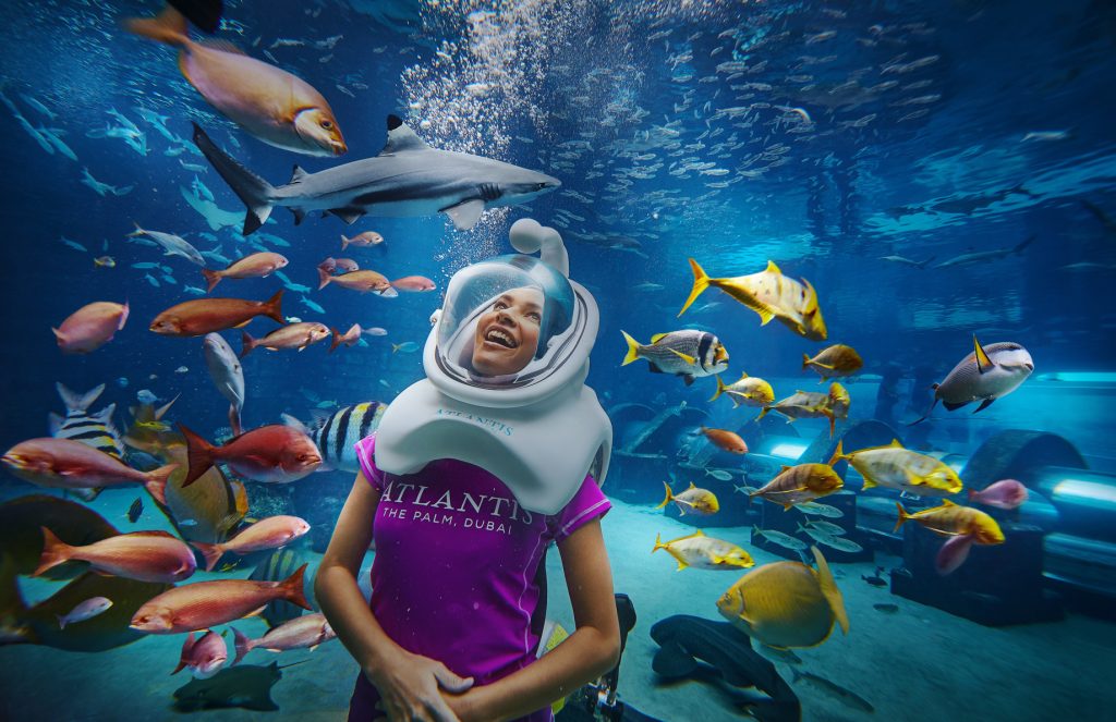 Atlantis The Palm Resort - Crescent Rd, Dubai, UAE - Shark Safari Aquatrek Xtreme