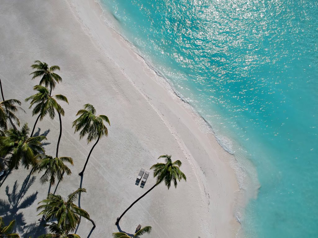 Gili Lankanfushi Resort - North Male Atoll, Maldives - Beachfront Palm Trees