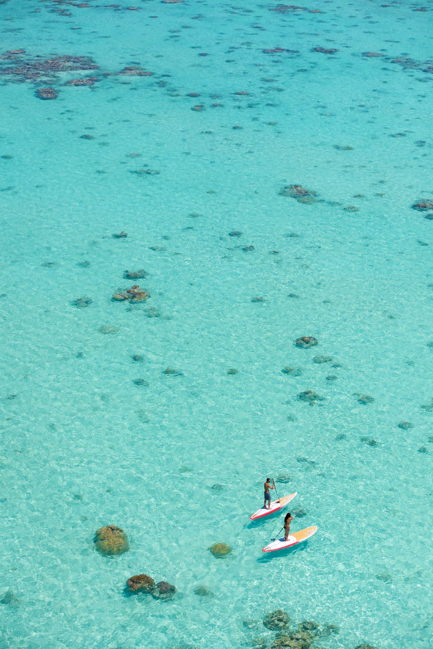 The Brando Resort – Tetiaroa Private Island, French Polynesia – Tropical Ocean Paddle Boarding