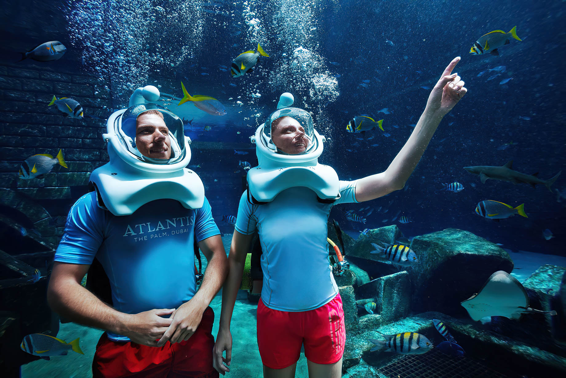 Atlantis The Palm Resort - Crescent Rd, Dubai, UAE - Shark Safari Aquatrek Xtreme