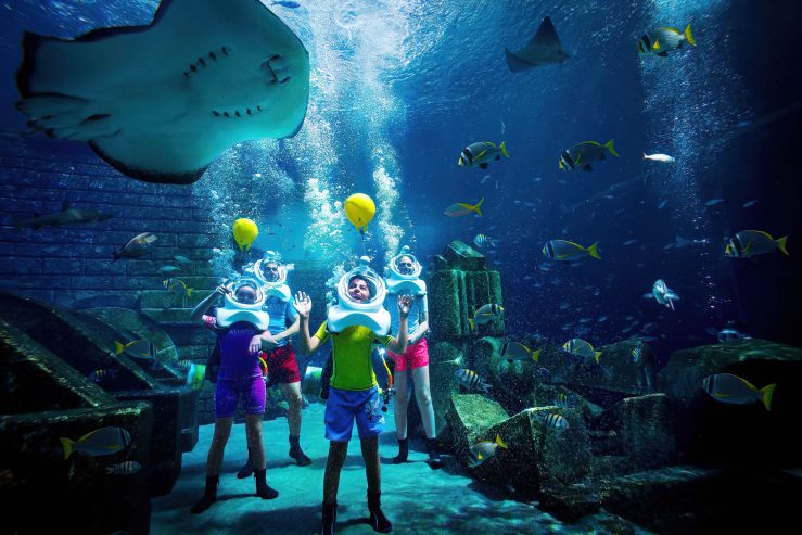 Atlantis The Palm Resort - Crescent Rd, Dubai, UAE - Shark Safari Aquatrek Xtreme
