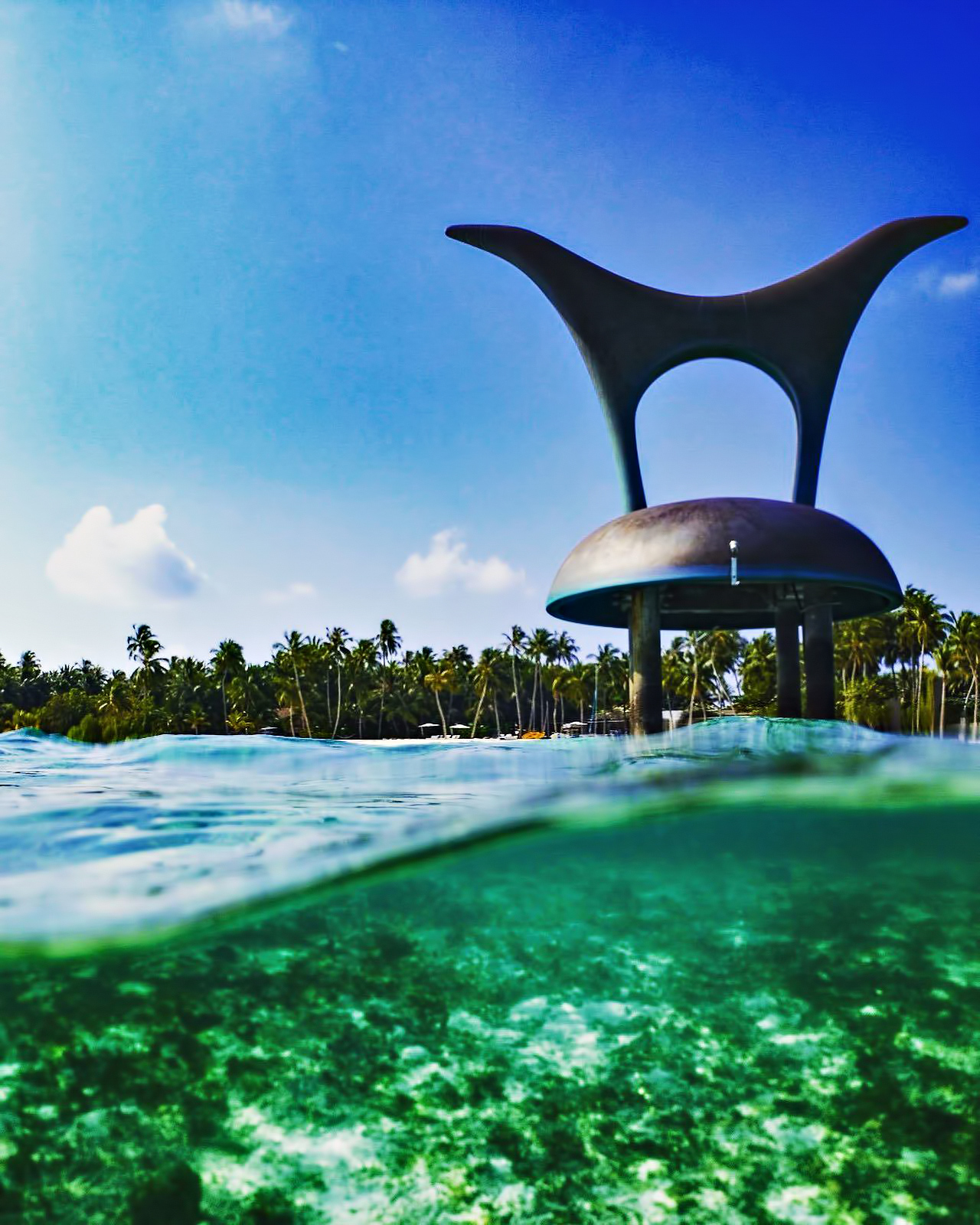 Cheval Blanc Randheli Resort - Noonu Atoll, Maldives - Snorkeling