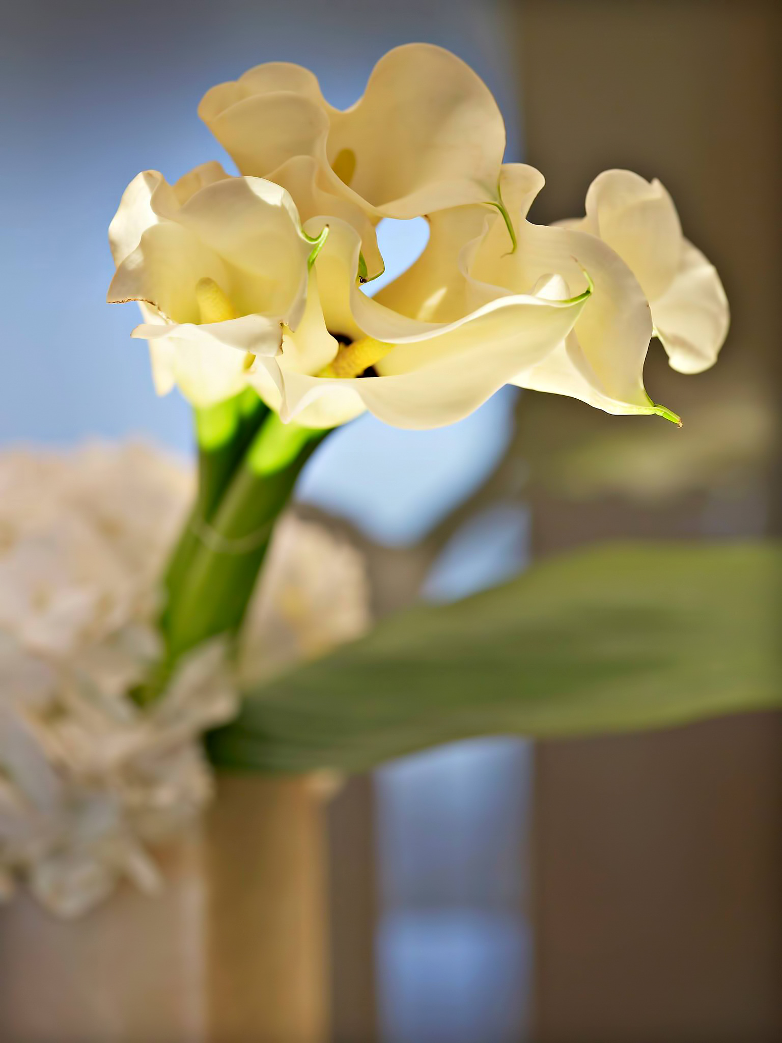 Armani Hotel Dubai - Burj Khalifa, Dubai, UAE - Armani Fiori