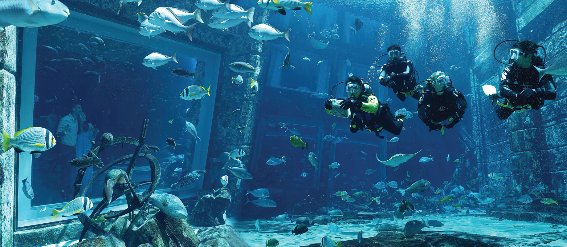 Atlantis The Palm Resort – Crescent Rd, Dubai, UAE – Dive Discovery