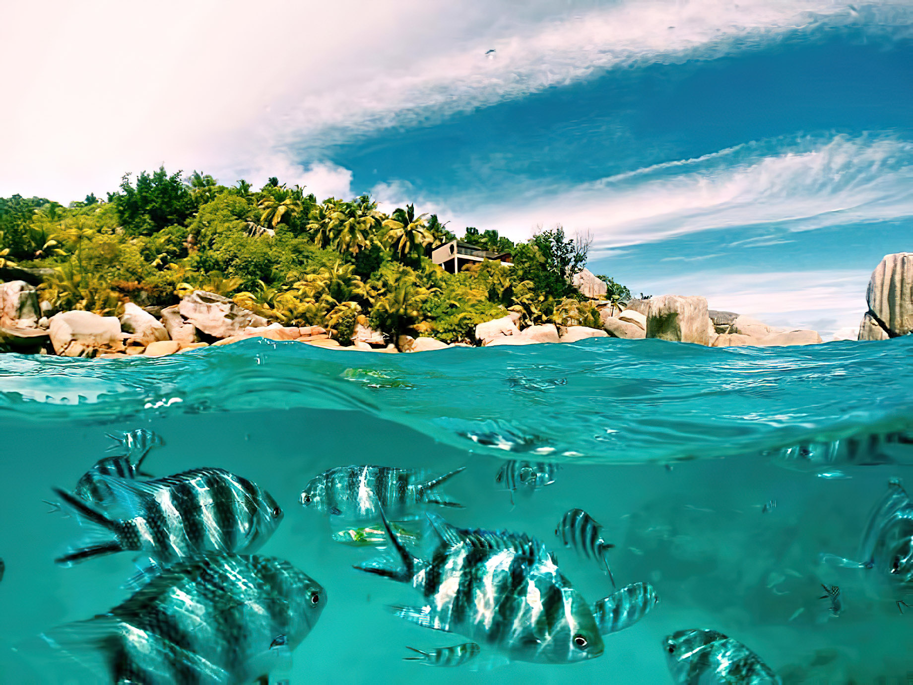 Six Senses Zil Pasyon Resort – Felicite Island, Seychelles – Island View Tropical Fish Underwater