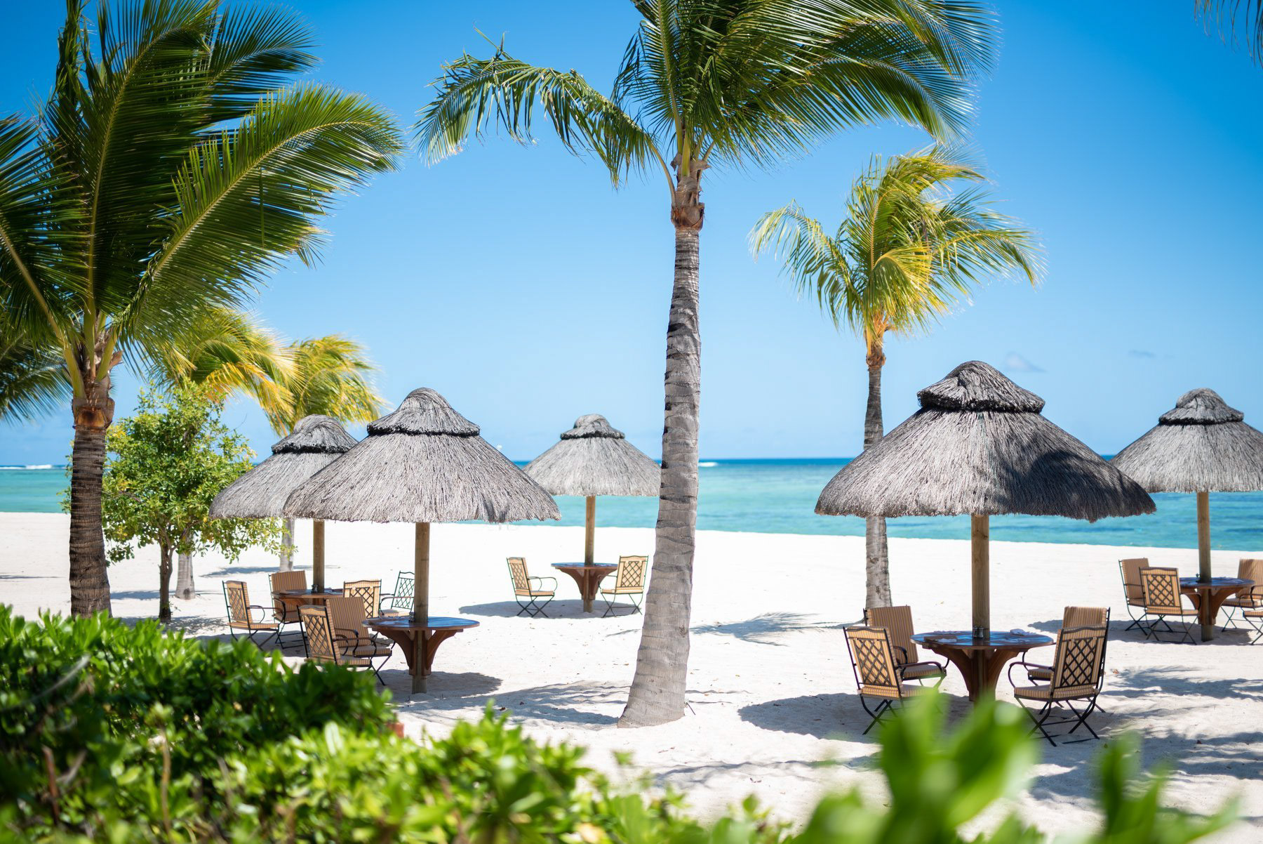 JW Marriott Mauritius Resort - Mauritius - Resort Beach Palm Trees