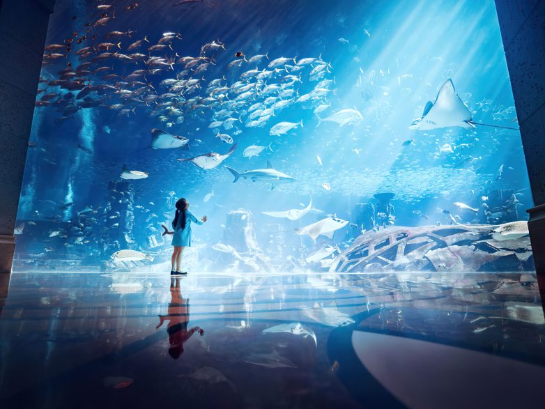 Atlantis The Palm Resort - Crescent Rd, Dubai, UAE - Underwater Aquarium View Glass Wall