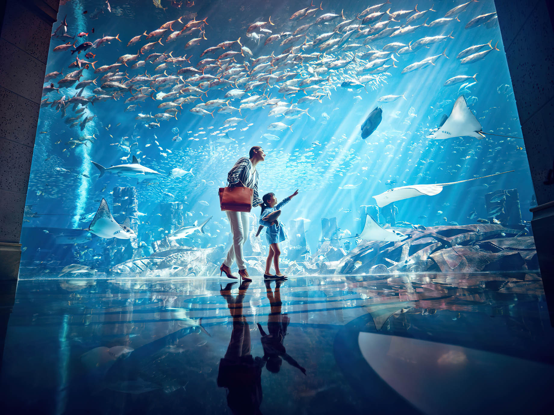 Atlantis The Palm Resort – Crescent Rd, Dubai, UAE – Underwater Aquarium View Glass Wall