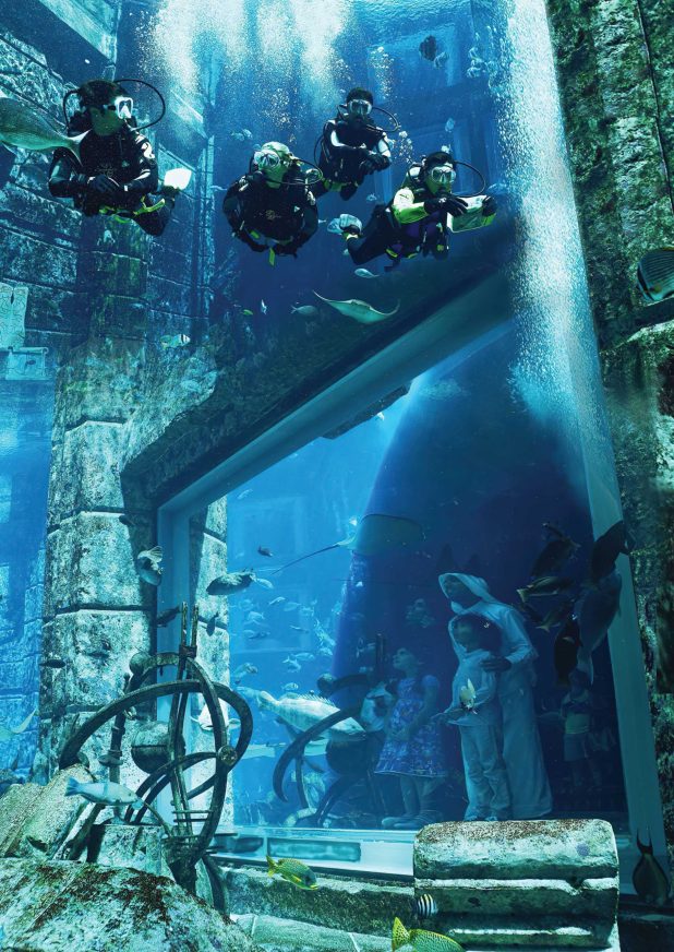 Atlantis The Palm Resort - Crescent Rd, Dubai, UAE - Dive Discovery. Underwater Viewing Area