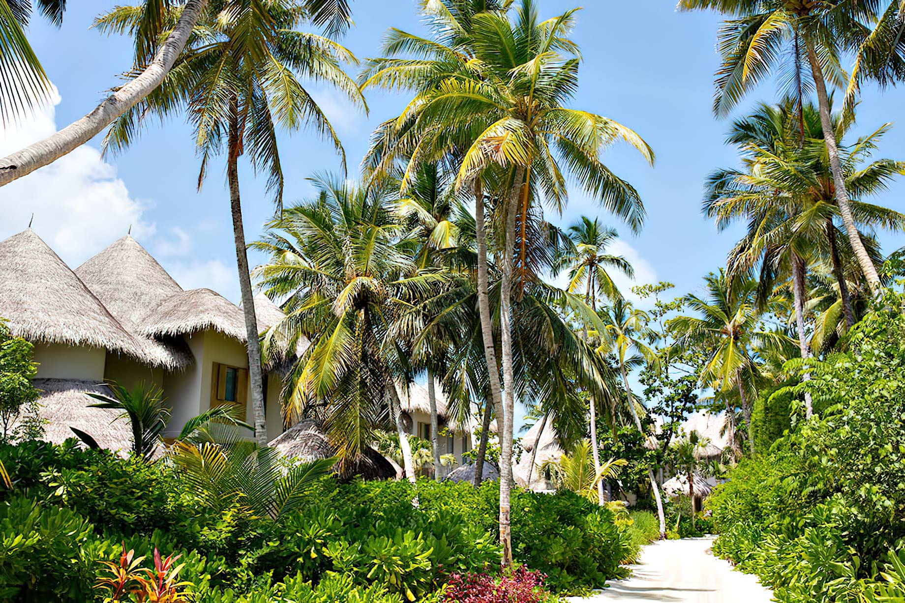 The Nautilus Maldives Resort - Thiladhoo Island, Maldives - Island Trail