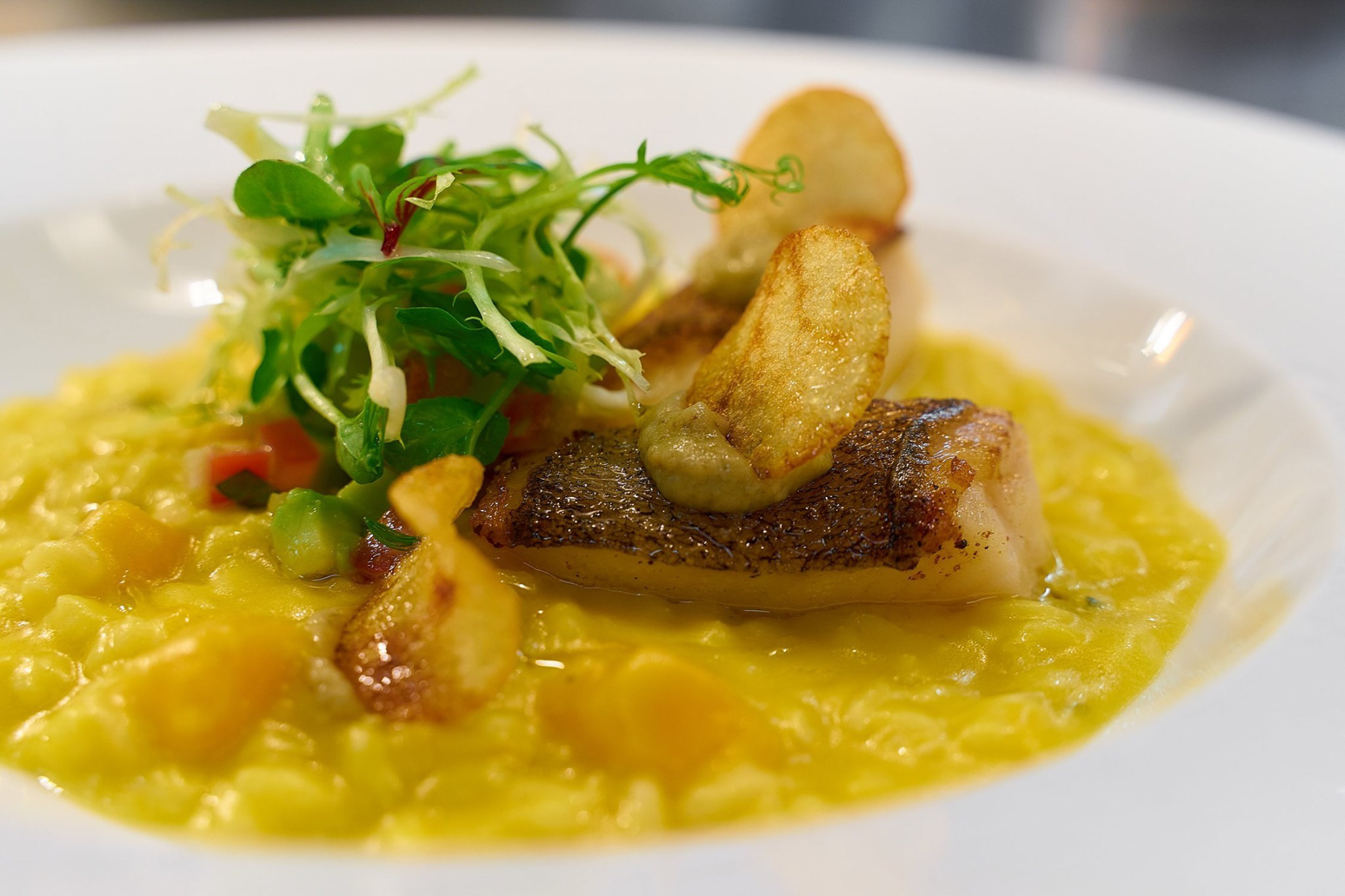 The St. Regis Macao Hotel - Cotai, Macau SAR, China - Halibut Gorgonzola Risotto with Smoked Eggplant Avocado Tomato Salsa and Potato