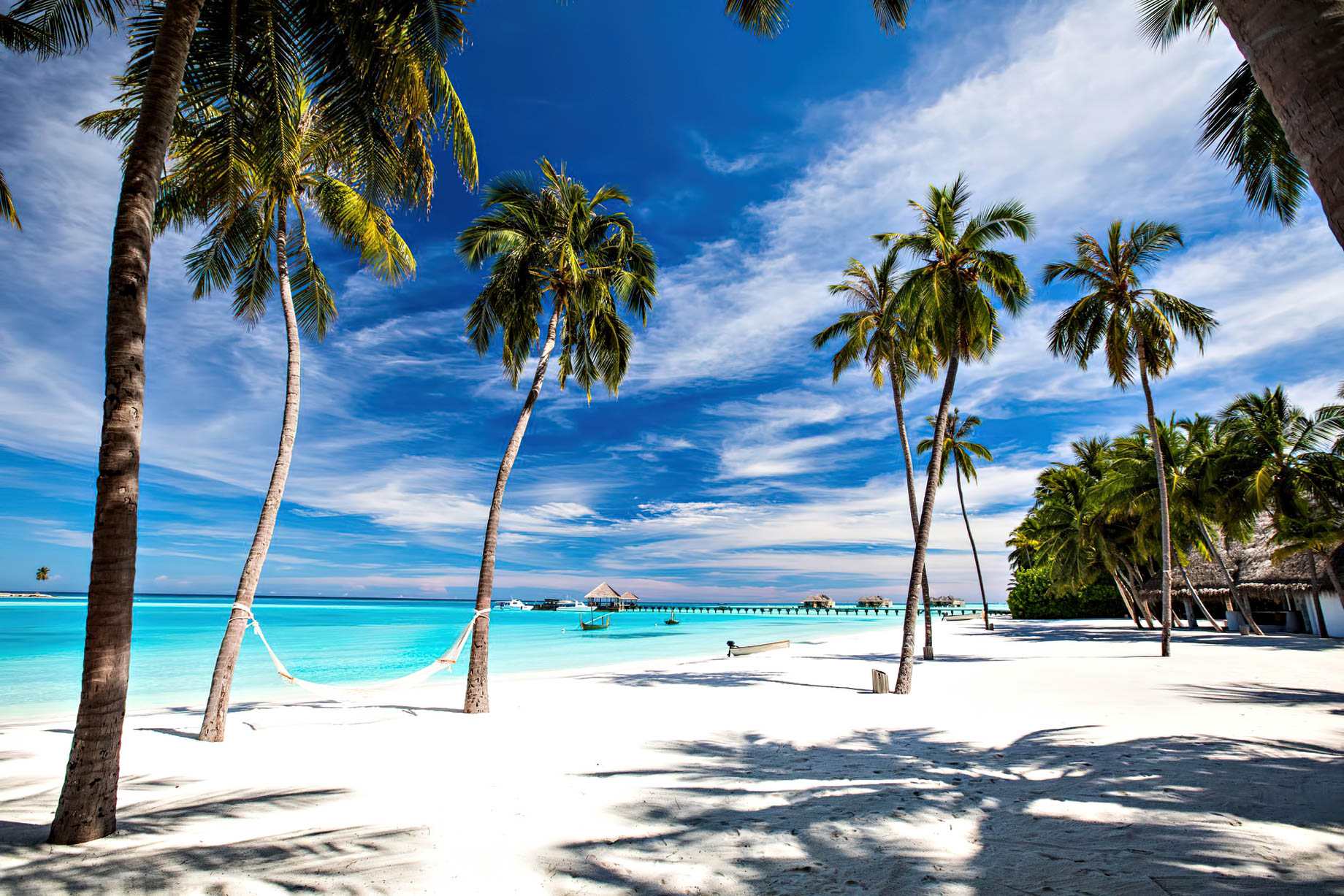 Gili Lankanfushi Resort - North Male Atoll, Maldives - White Sand Beach Palm Trees