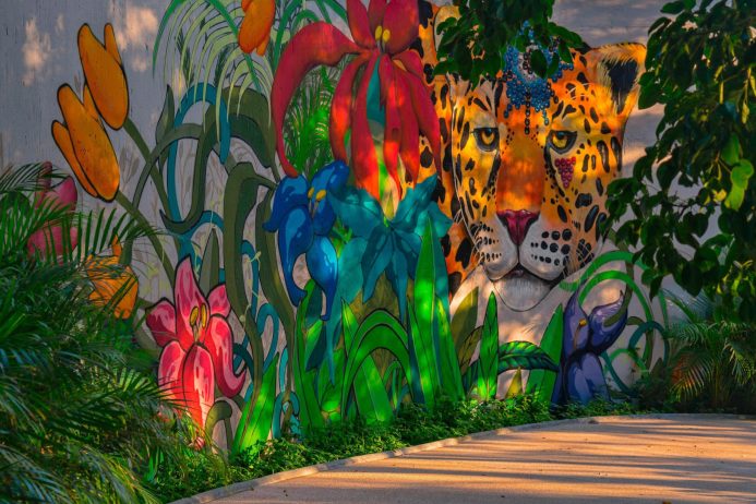 W Punta de Mita Resort - Punta De Mita, Mexico - Jaguar Graffiti Wall