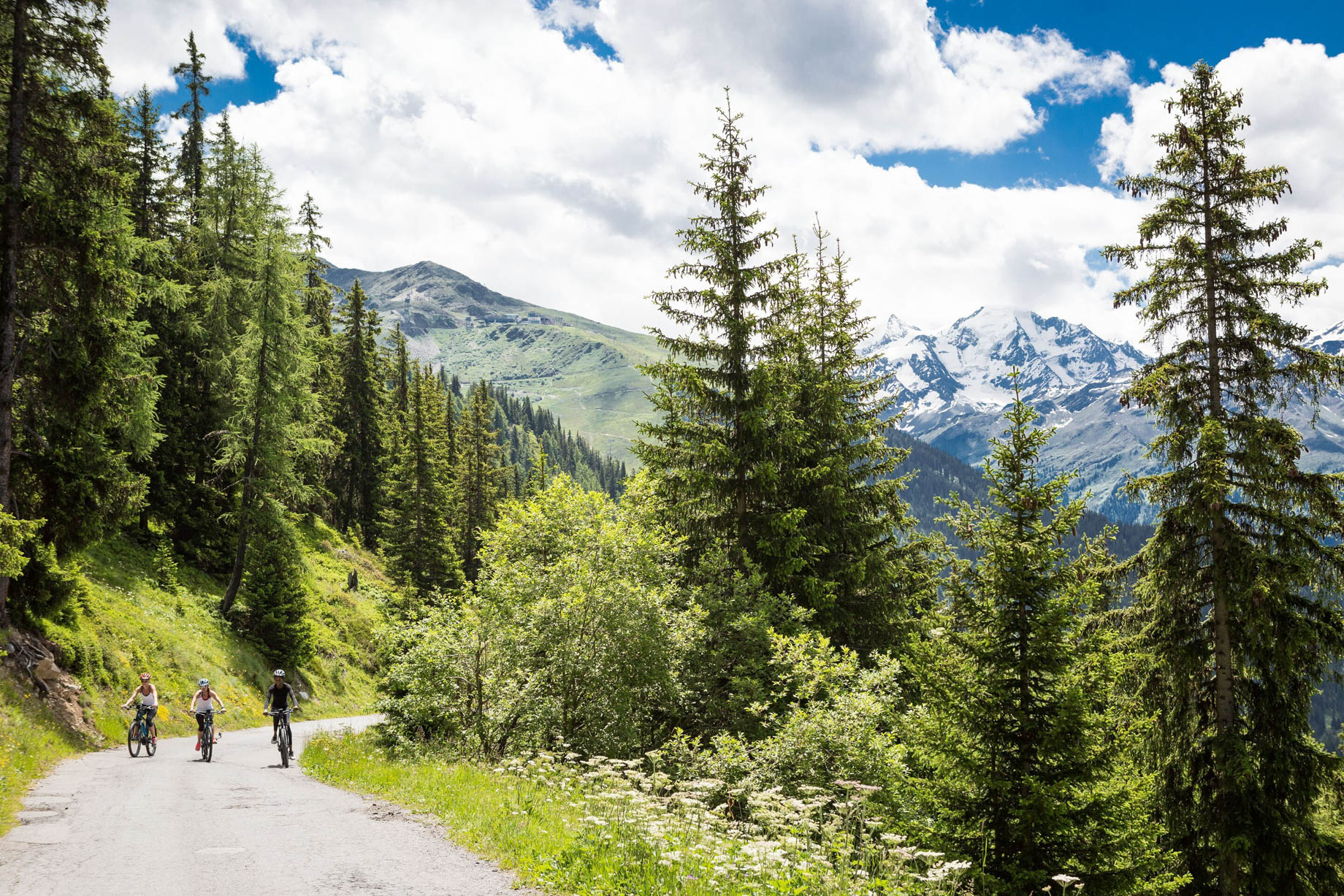 W Verbier Hotel - Verbier, Switzerland - Biking Forest View