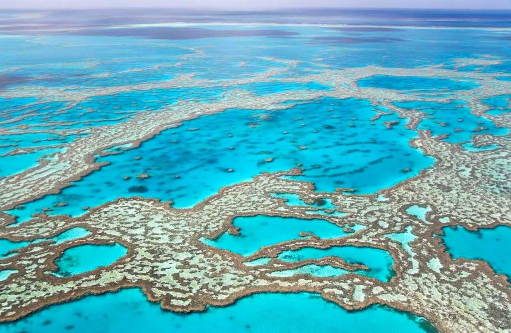 InterContinental Hayman Island Resort - Whitsunday Islands, Australia - Great Barrier Reef