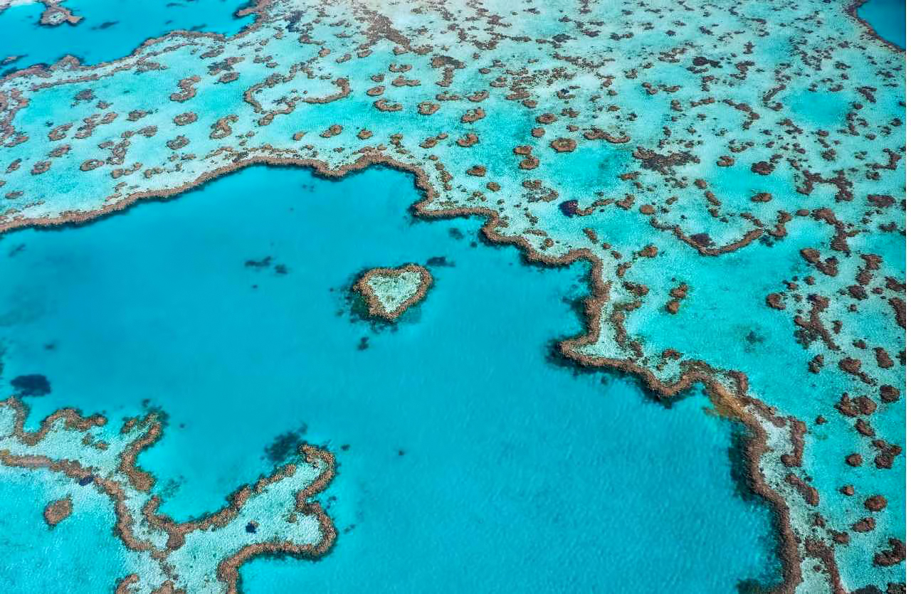 InterContinental Hayman Island Resort – Whitsunday Islands, Australia – Great Barrier Heart Shaped Reef