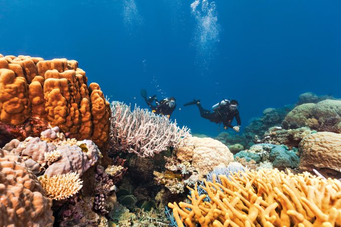 InterContinental Hayman Island Resort - Whitsunday Islands, Australia - Scuba Diving