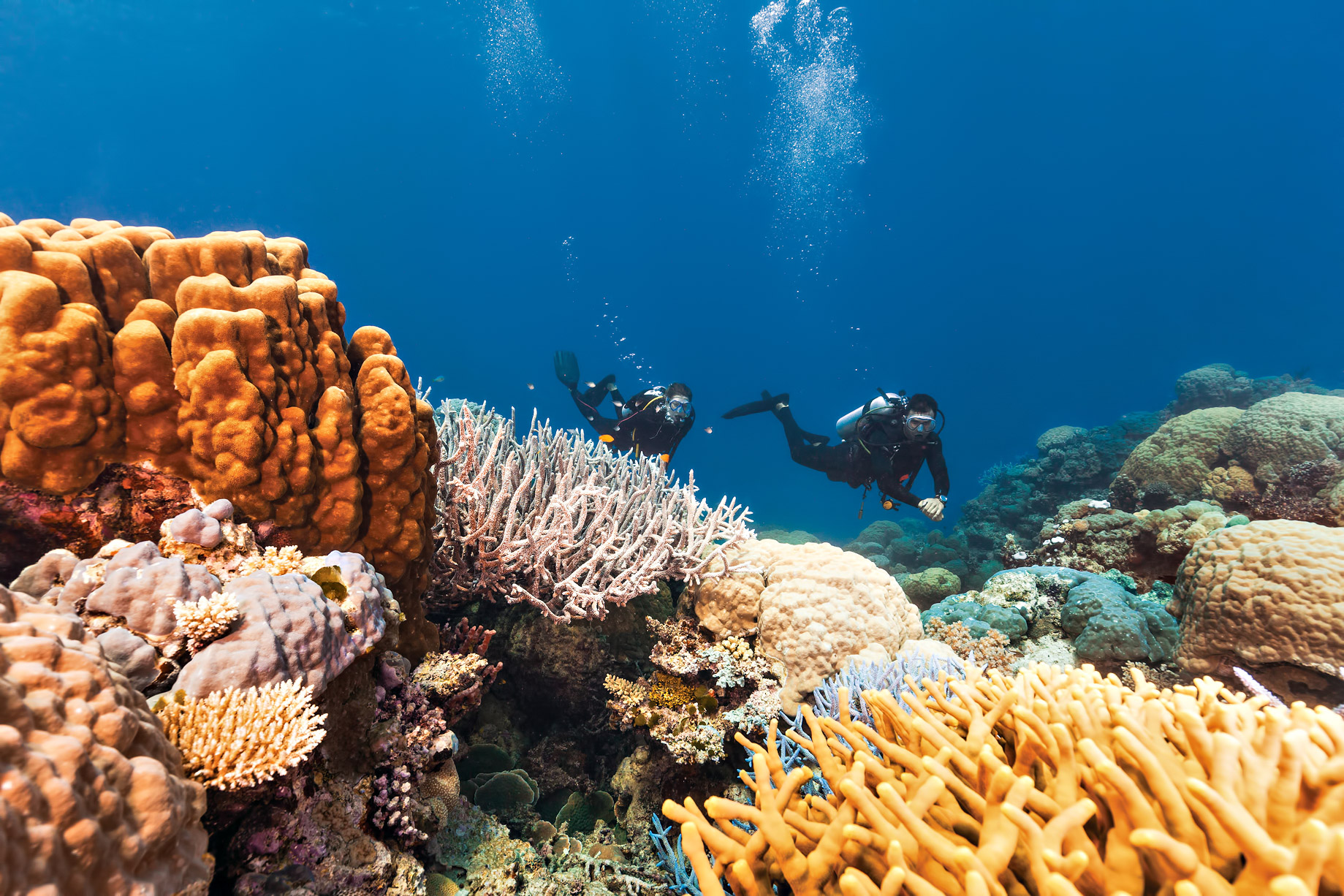 InterContinental Hayman Island Resort – Whitsunday Islands, Australia – Scuba Diving