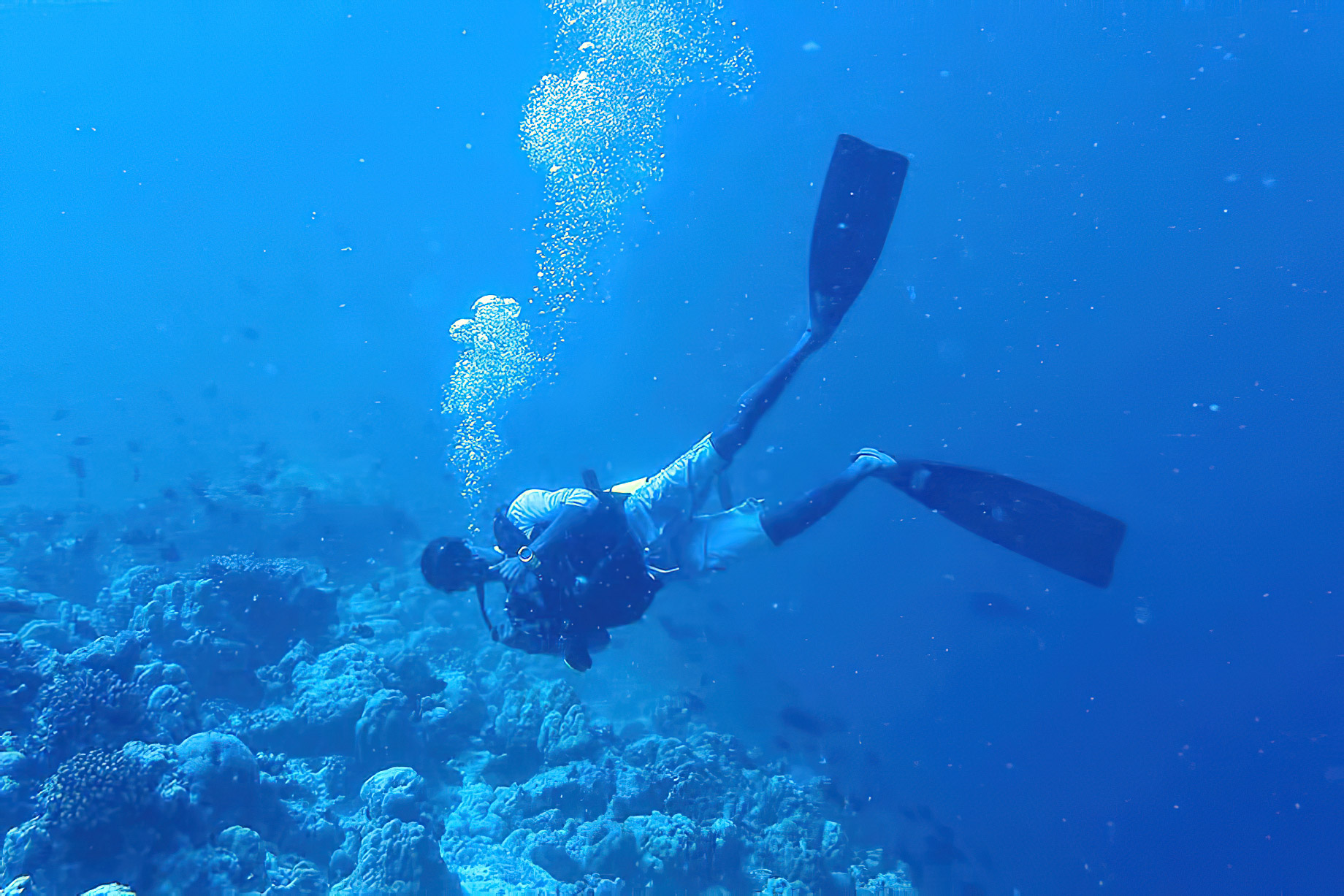 The Nautilus Maldives Resort – Thiladhoo Island, Maldives – Scuba Diving