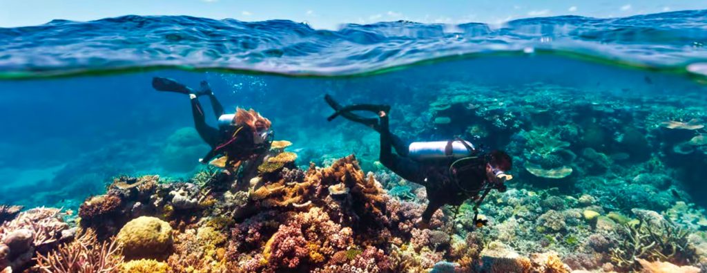 InterContinental Hayman Island Resort - Whitsunday Islands, Australia - Scuba Diving Corel Reef