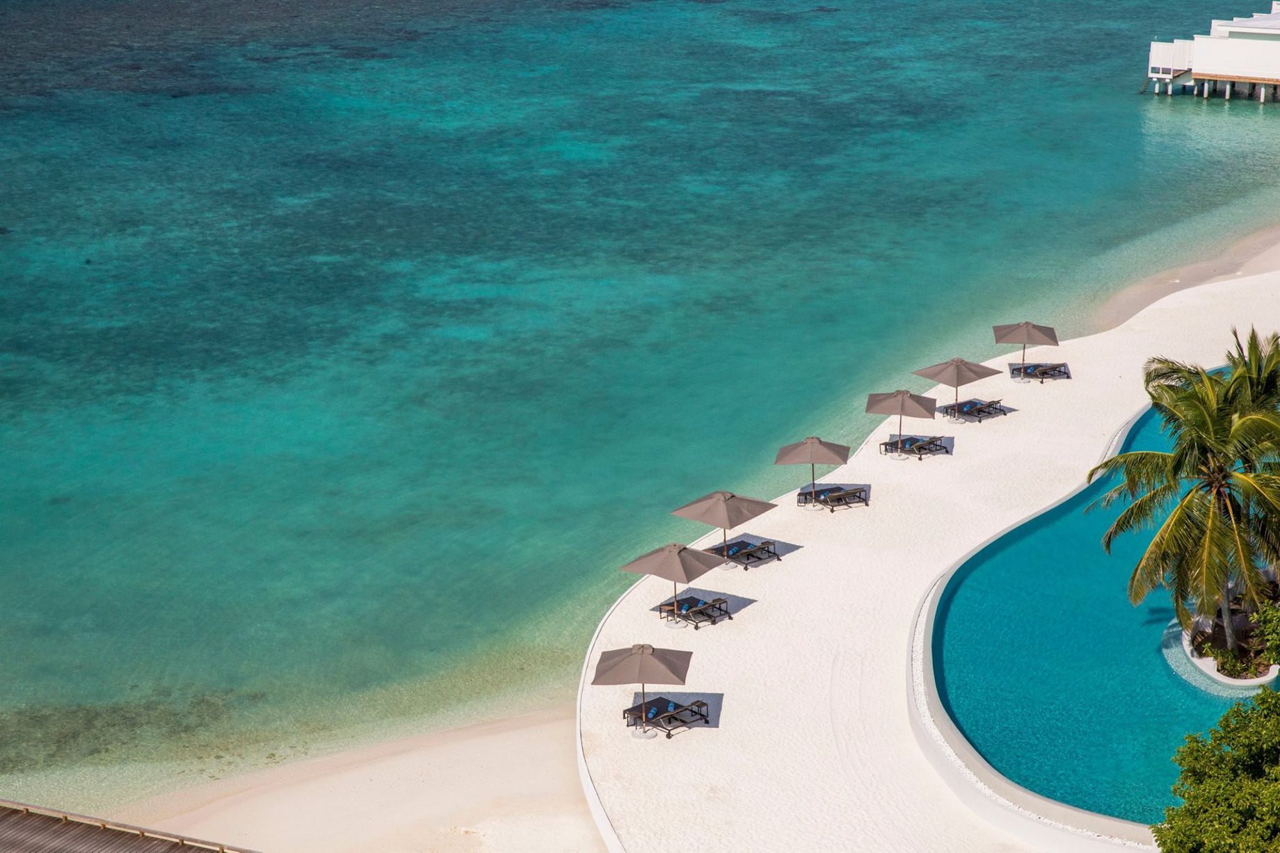 Amilla Fushi Resort and Residences – Baa Atoll, Maldives – Beachfront Pool Umbrellas Aerial