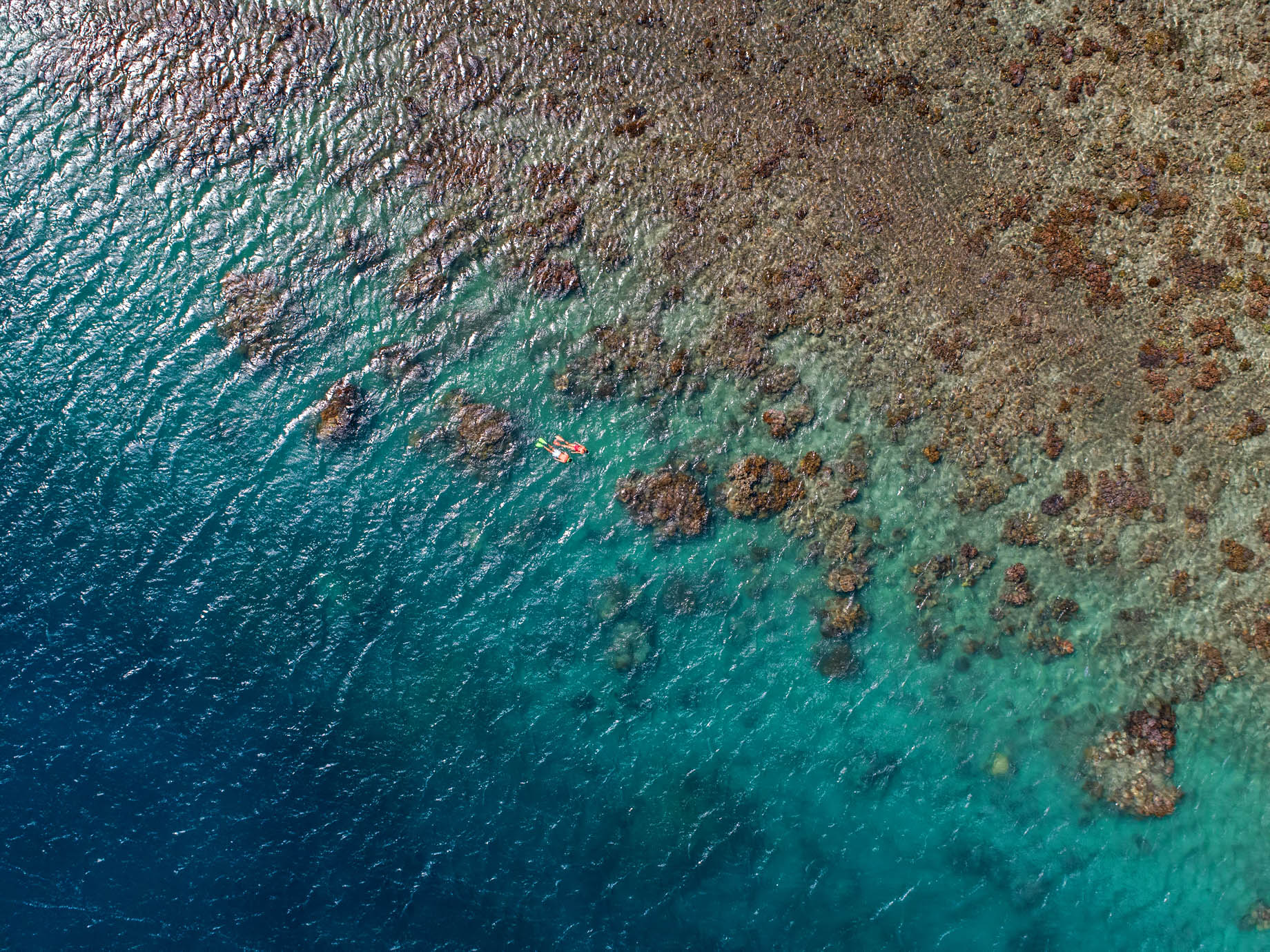 InterContinental Hayman Island Resort – Whitsunday Islands, Australia – Corel Reef Snorkeling