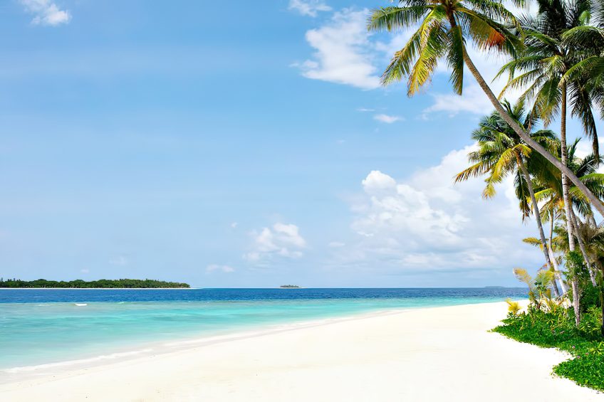 The Nautilus Maldives Resort - Thiladhoo Island, Maldives - White Sand Beach Palm Trees