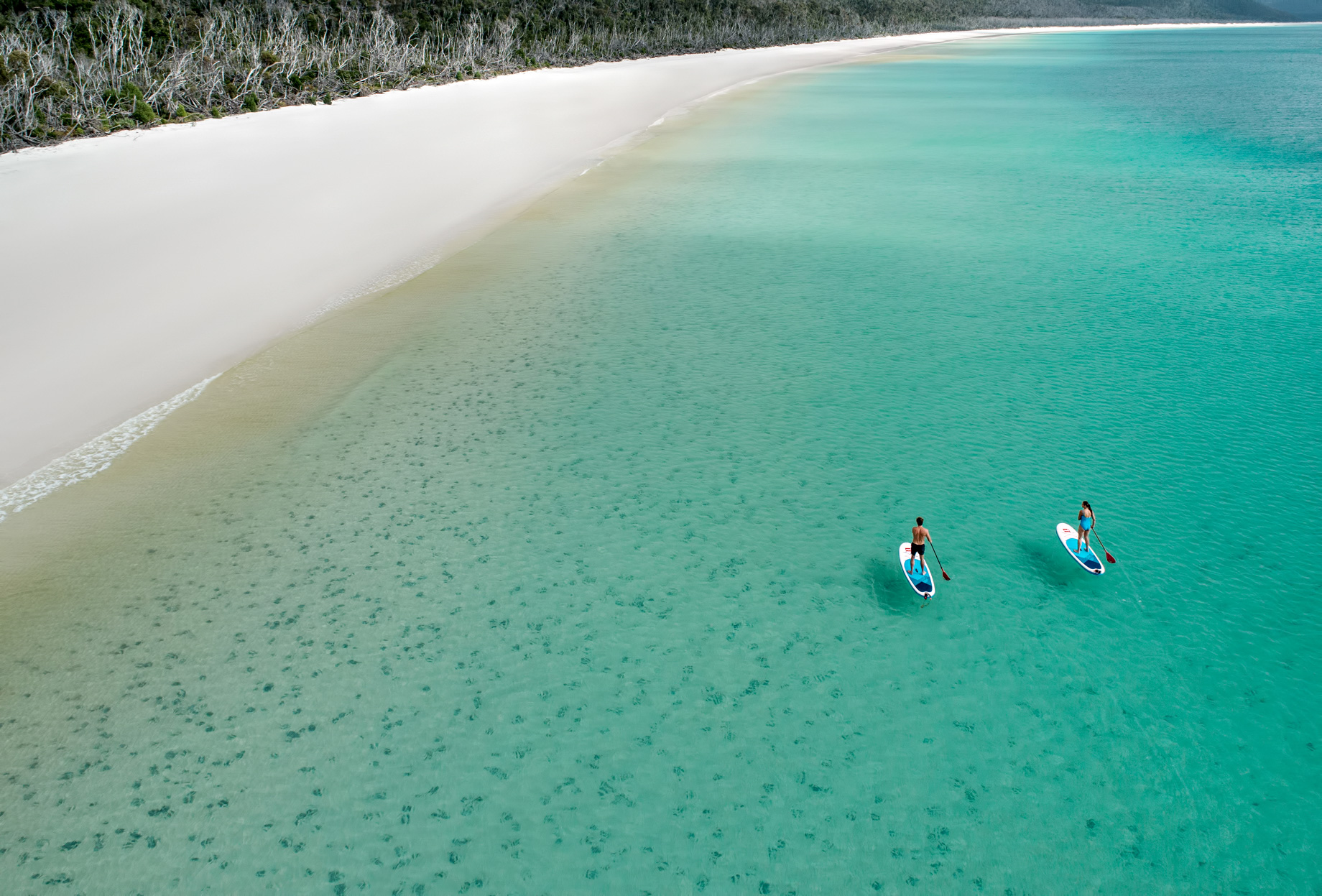 InterContinental Hayman Island Resort – Whitsunday Islands, Australia – Whitehaven Beach Paddle Boarding