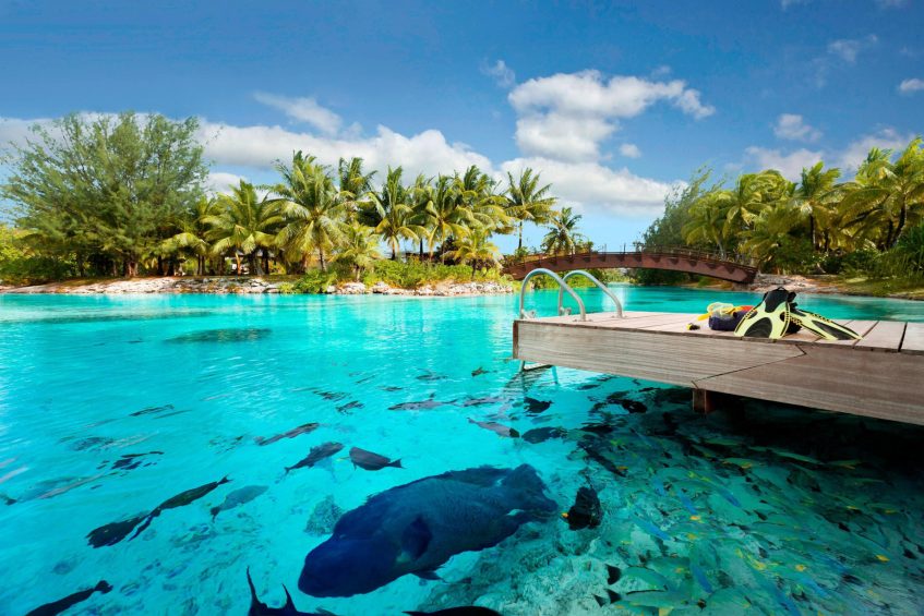 The St. Regis Bora Bora Resort - Bora Bora, French Polynesia - Lagoonarium Dock